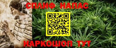 сатива Бузулук